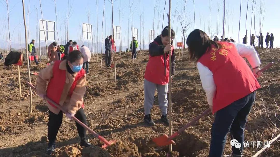 镇平：义务植树为玉乡添彩添绿