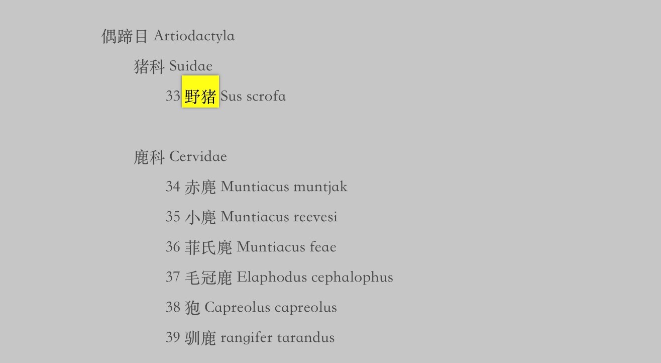 局部地区泛滥成灾，野猪拟从“三有”名录中除名，专家强调这一点