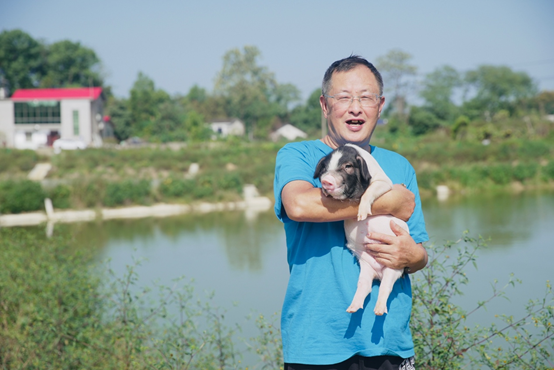 “养猪院士”印遇龙：淘菜菜“猪肉期货”模式平抑猪周期，产销两端受益