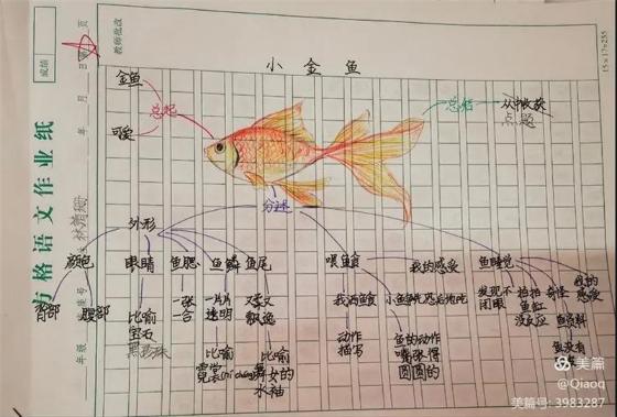 鼓楼第五中心小学：落实“双减”作业大变身(图1)