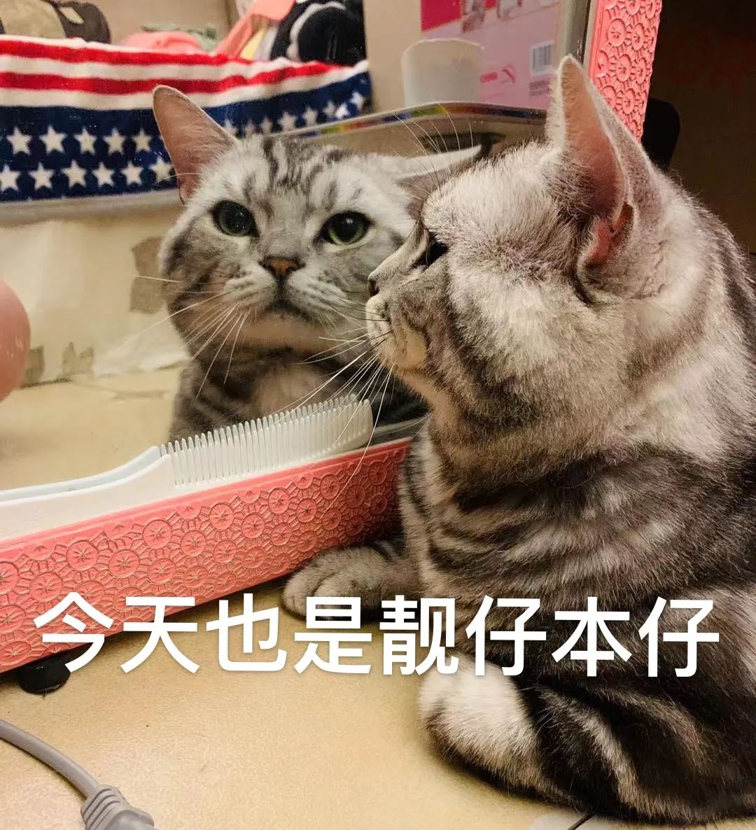 ǿ+ѩ+13棡ע⣬׼ģʽ