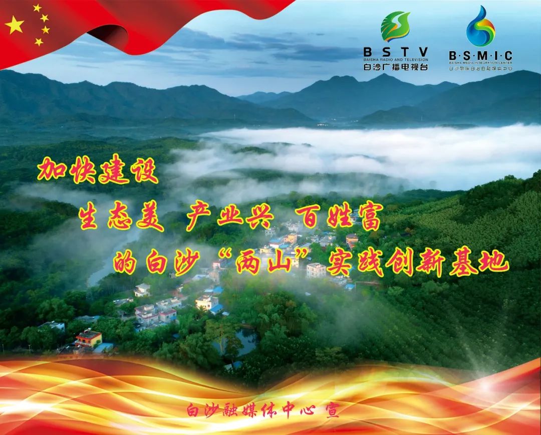 白沙：推动中医药事业高质量发展
