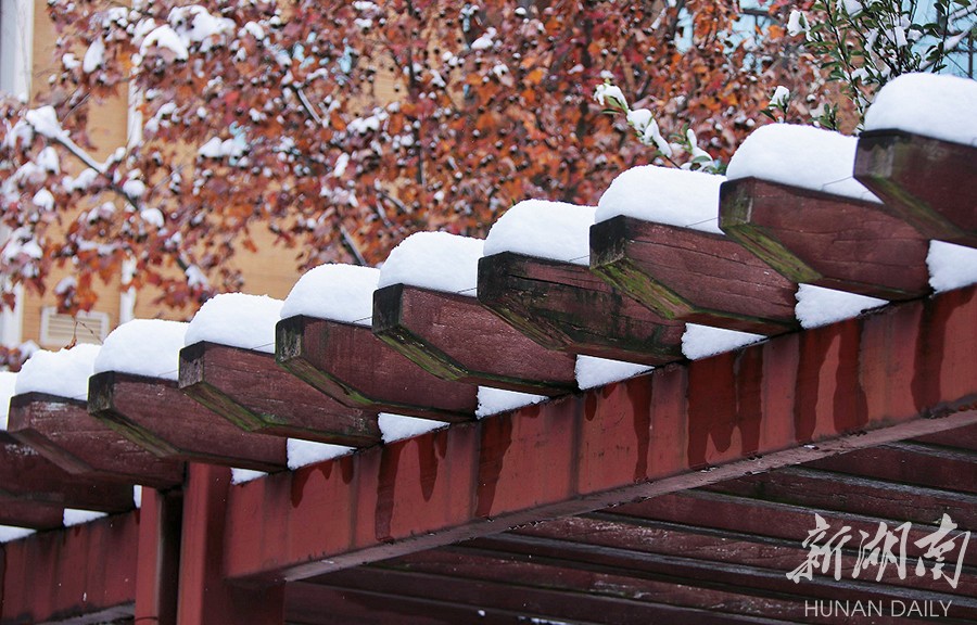 长沙县实验中学@你，共赏校园雪景(图3)