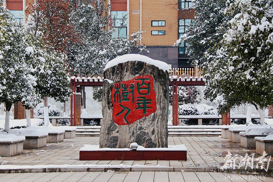 长沙县实验中学@你，共赏校园雪景(图4)