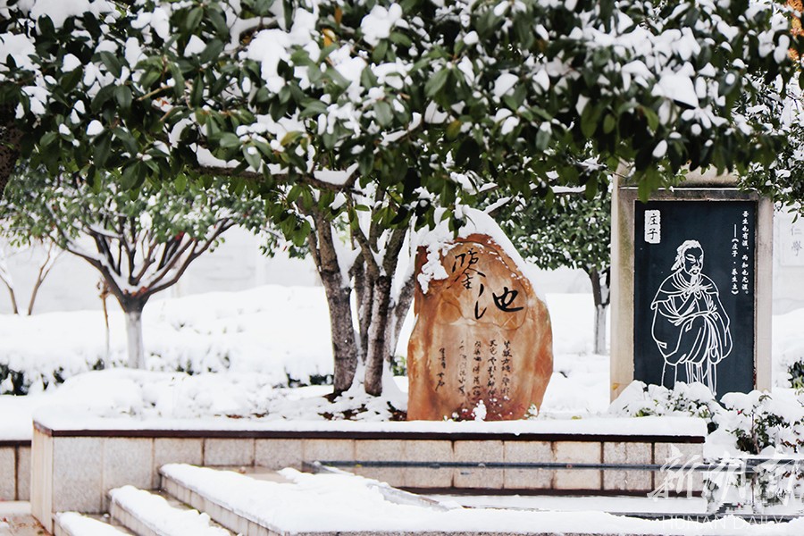 长沙县实验中学@你，共赏校园雪景(图5)