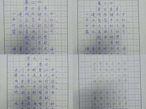 铁岭市清河区第一小学举办书法比赛(图3)