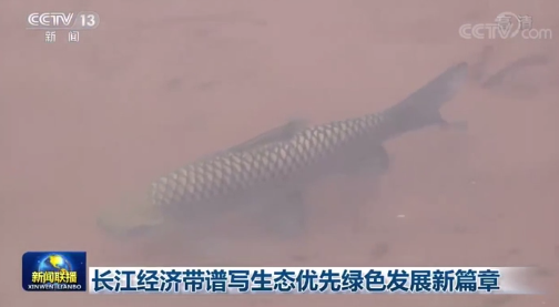 央视《新闻联播》关注贵州赤水河生态环境修复成效显著