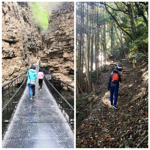 ձӦйΪԼĵˡѦ½ܡձ桷ձ¿ձȱɷ