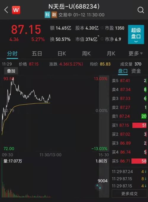 又一行业龙头登陆A股(又一行业龙头或面临强制退市)
