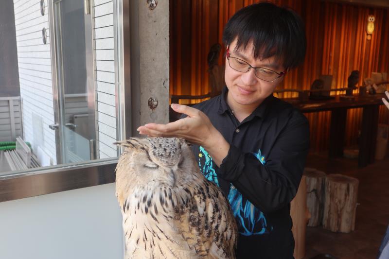 йŶӿձĻֳϷй£һҪйĹ