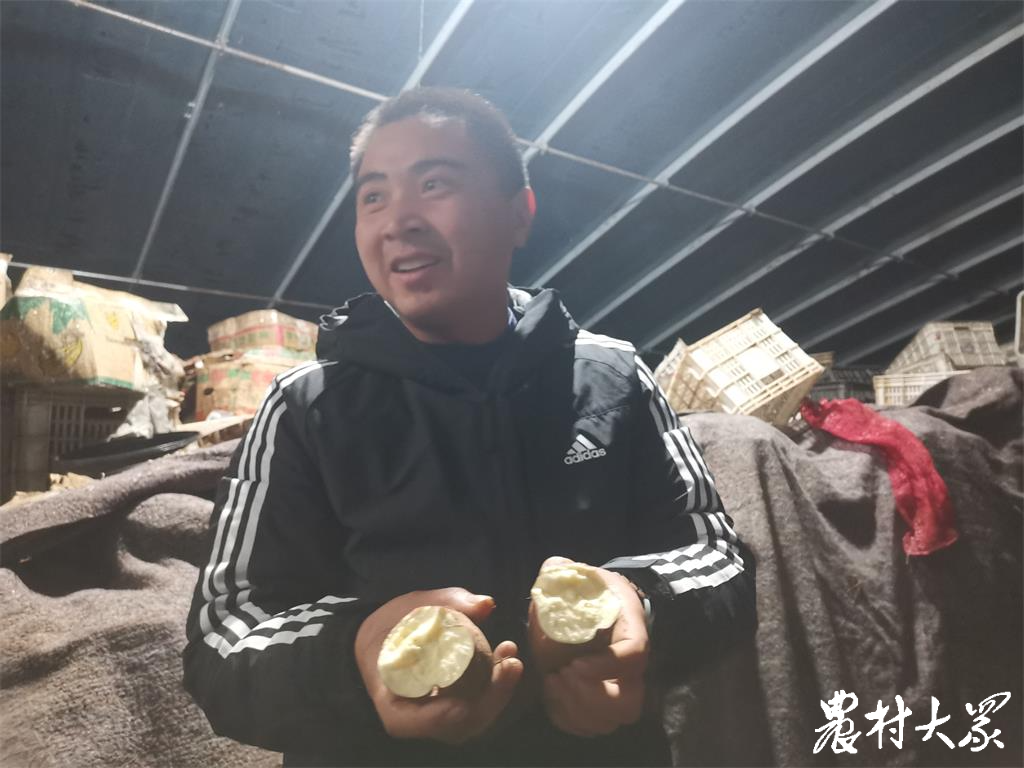 賣烤地瓜掙了錢，回鄉(xiāng)搞地瓜育種，這個農民工和“地瓜”杠上了
