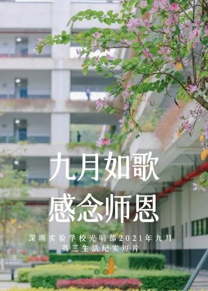 深圳实验学校微电影荣获大奖(图4)