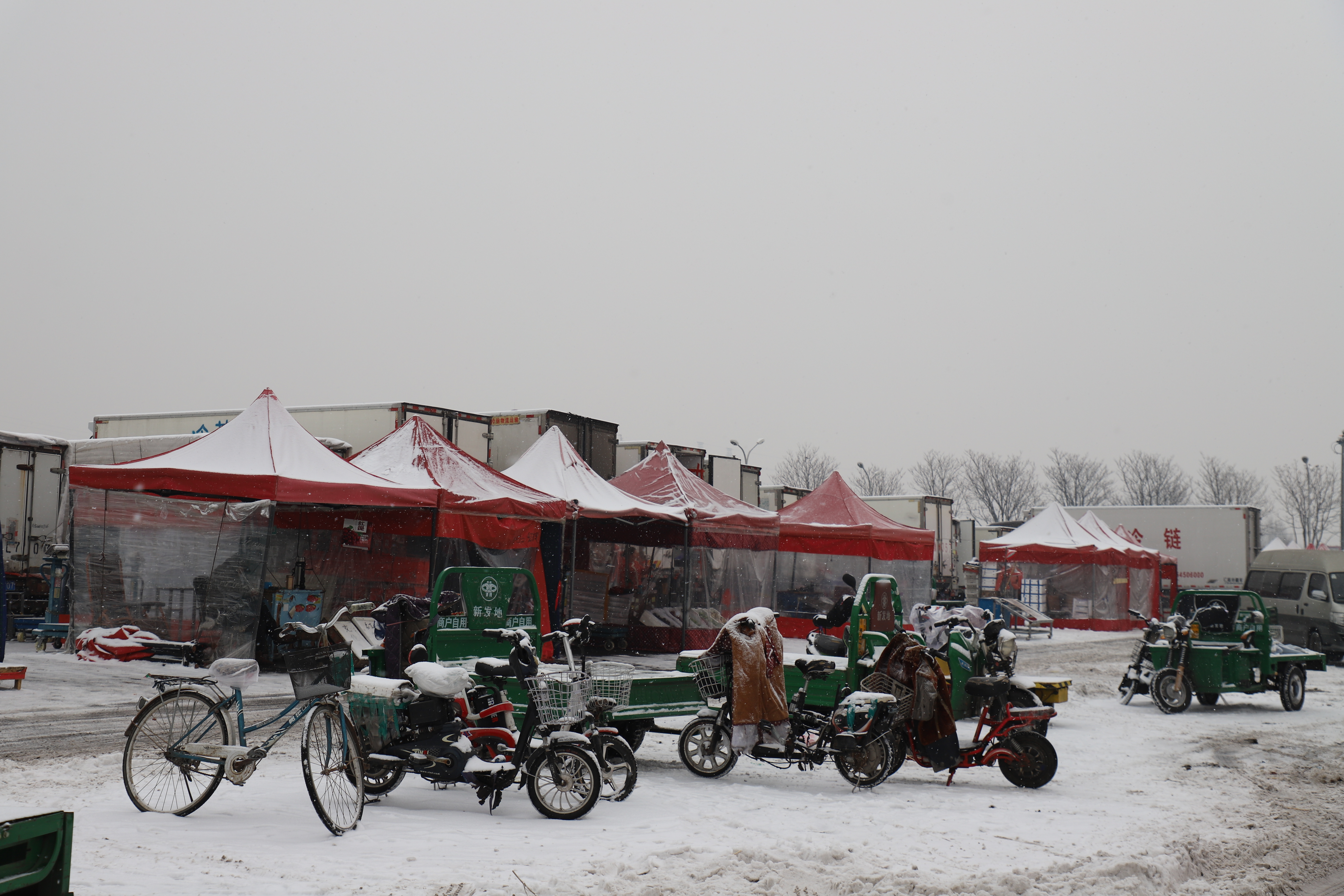 降雪疊加節(jié)前拉動(dòng)影響，新發(fā)地市場(chǎng)部分蔬菜價(jià)格上漲
