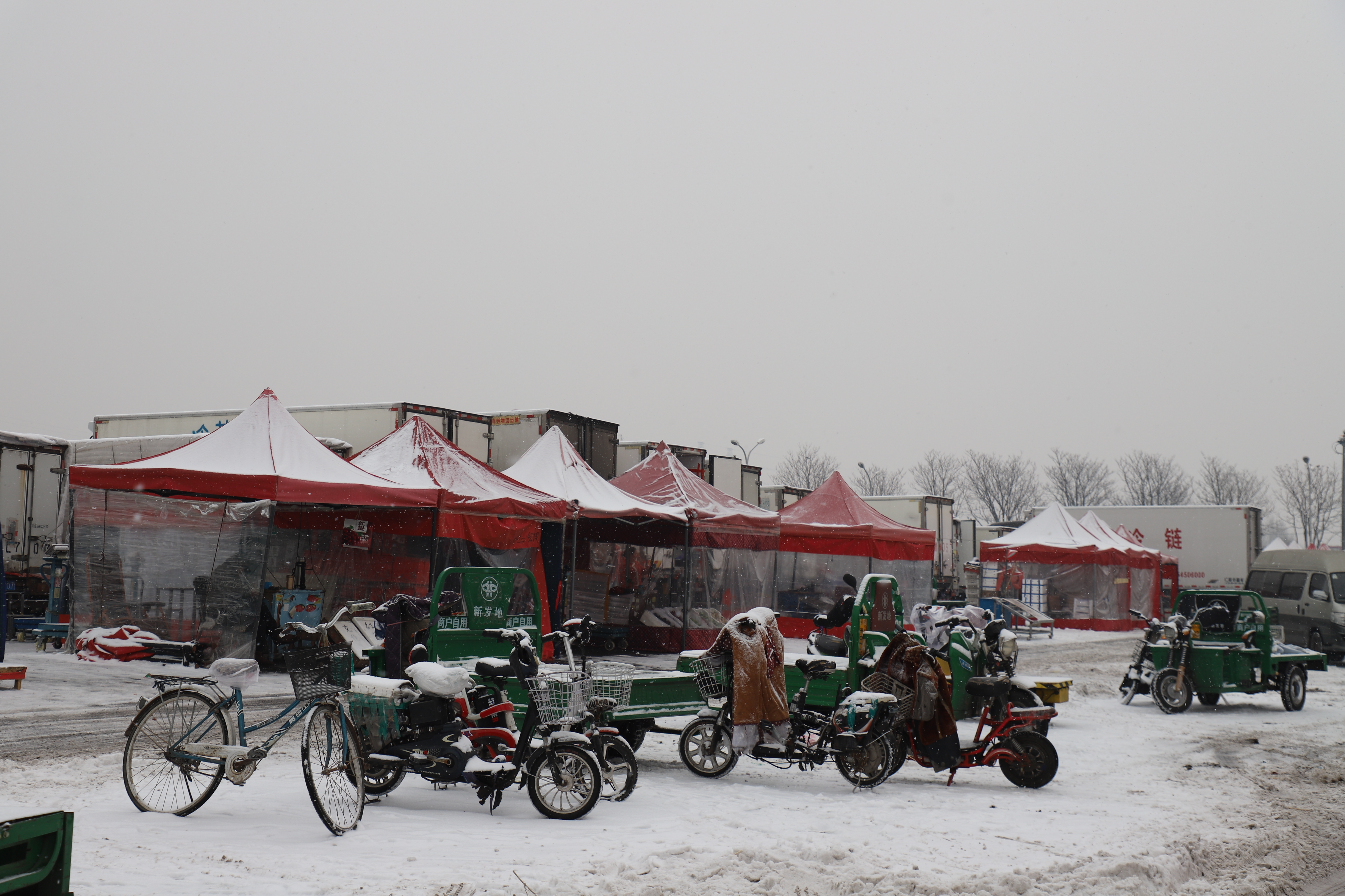 降雪叠加节前拉动影响，新发地市场部分蔬菜价格上涨