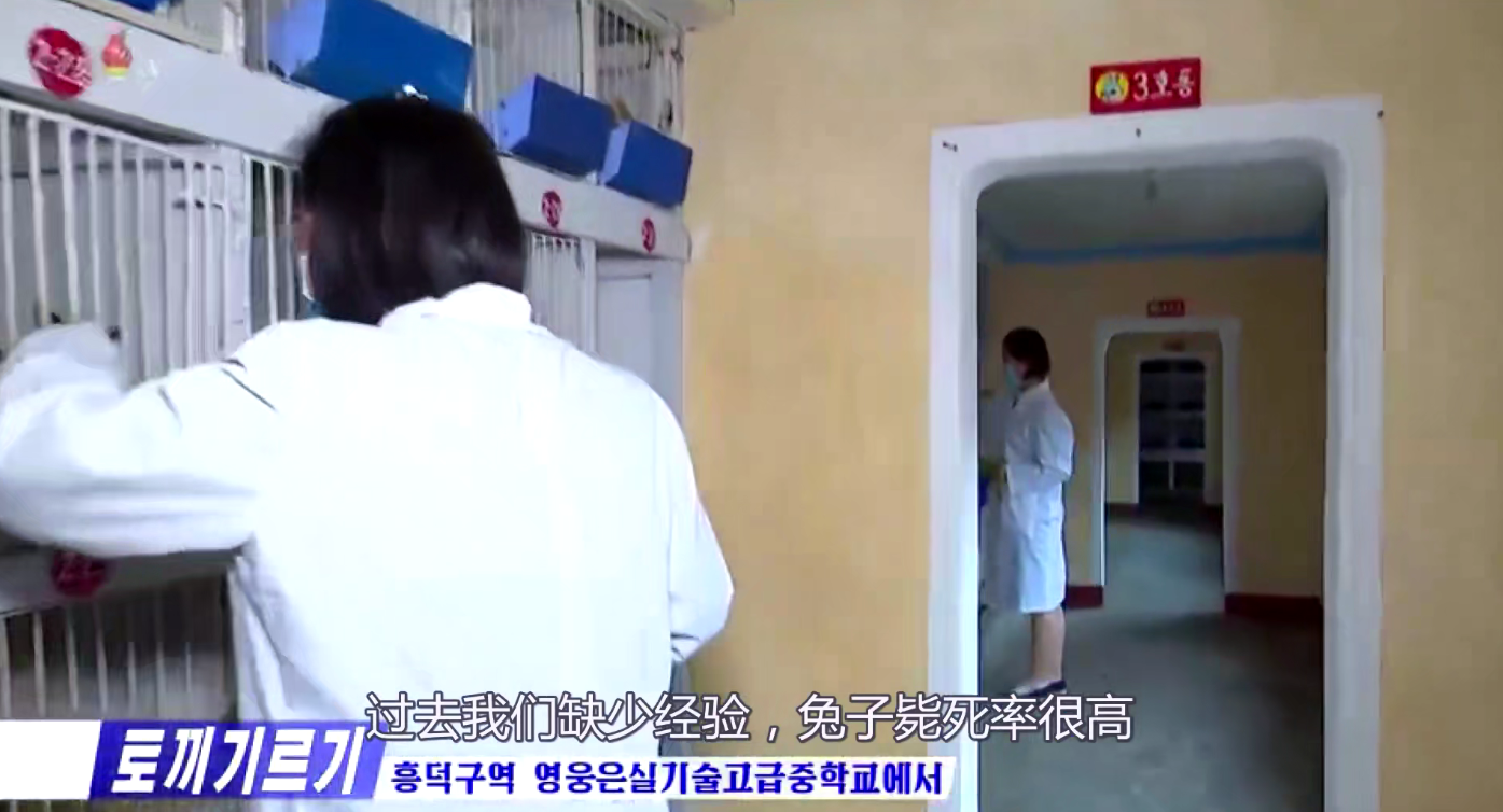 �۲�����һ�ܾ�����������ʱ�����ʵ���·��