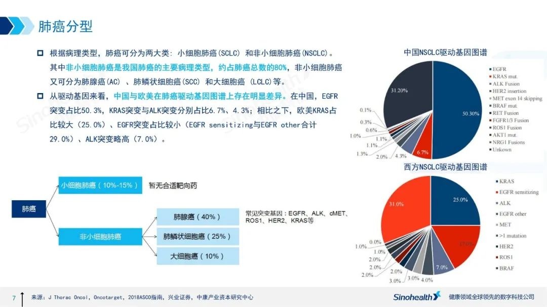 中康医药行研 | 大癌种系列——肺癌治疗药物市场分析报告
