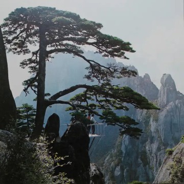 路途所见所闻