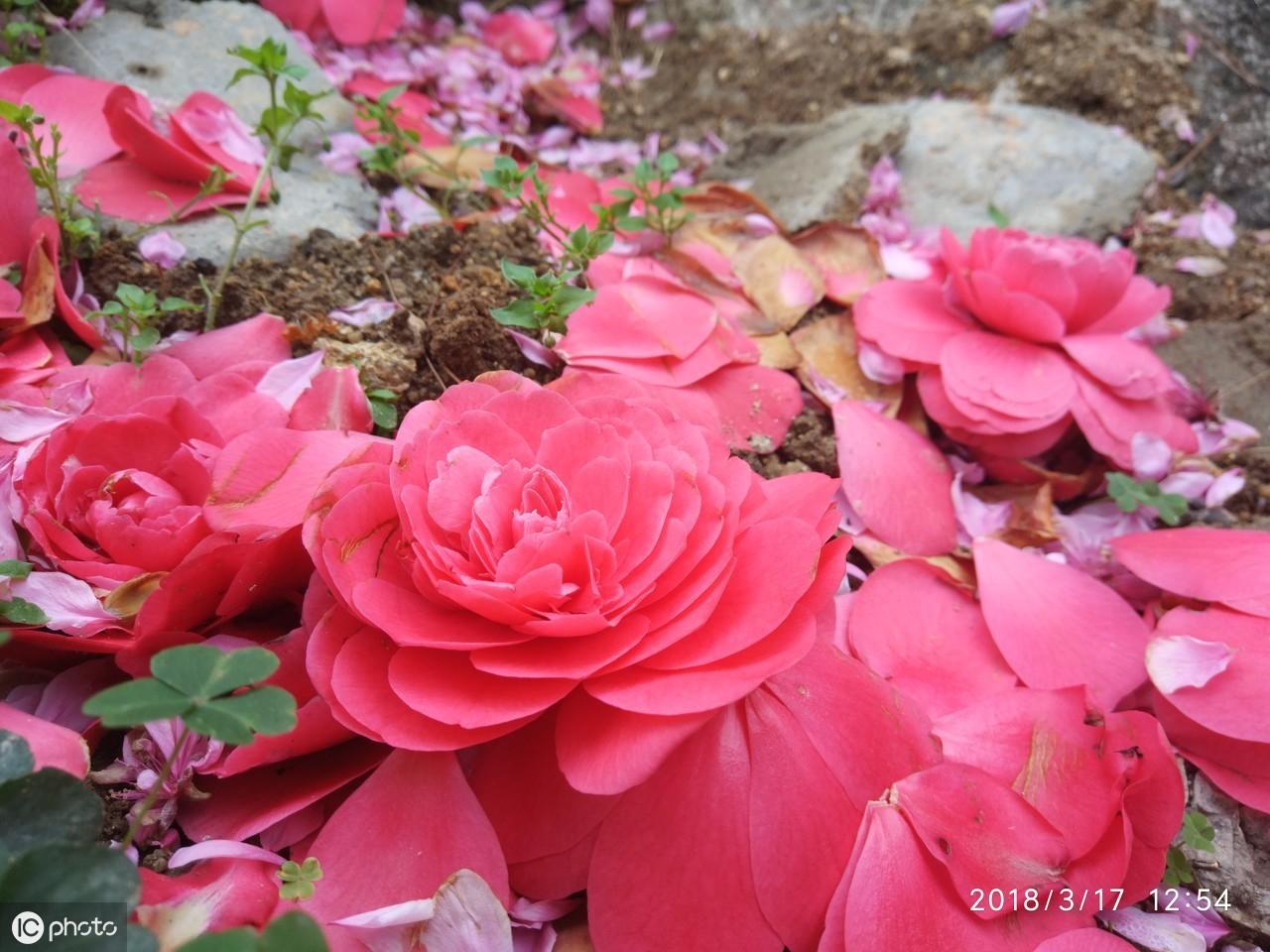 《唐诗三百首》之王维篇：29首美诗，永远的珍藏