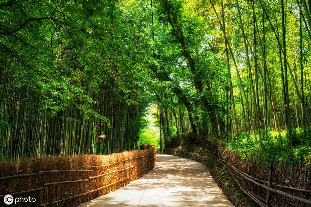 《唐诗三百首》之王维篇：29首美诗，永远的珍藏