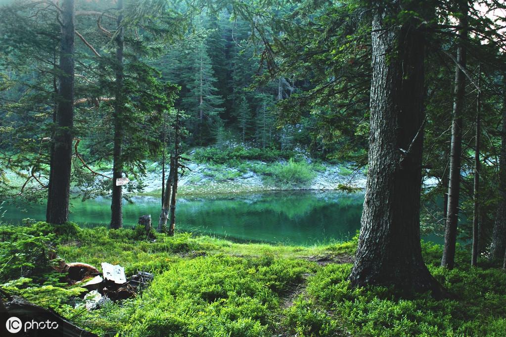 《唐诗三百首》之王维篇：29首美诗，永远的珍藏